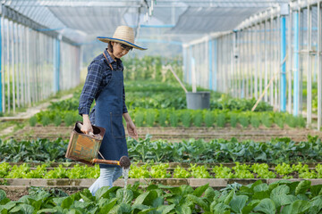 Asian woman farmer and vegetables in greenhouse for agriculture.
