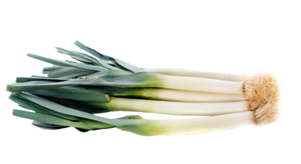 bunch of leeks PNG