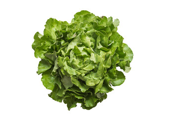 Salad  PNG