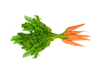 bunch of carrots PNG