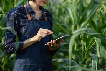 Asian woman farmer using digital tablet in vegetable garden at greenhouse, Business agriculture technology concept, quality smart farmer.