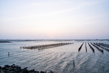 Oyster farm in the sea at sunset time