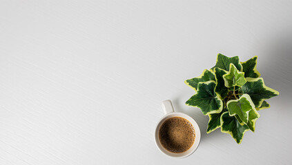 Taza de café con una planta en fondo blanco con espacio para agregar texto 