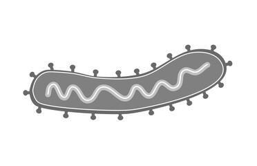 The viral molecule of Marburg virus in icon concept.