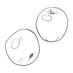 vector illustration linear drawing doodle black and white apple