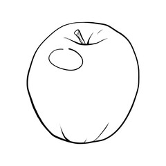 vector illustration linear drawing doodle black and white apple