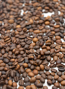 Fresh roasted coffee bean isolated in white background.coffee bean still life image