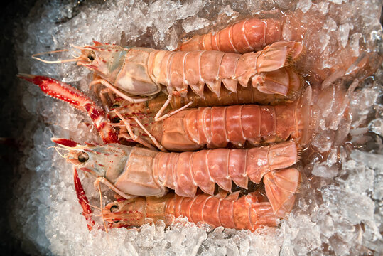 Fresh crayfish on ice