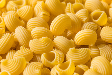 Italian Lumahce Media Pasta Shells