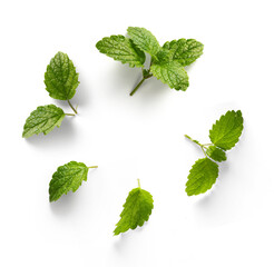 fresh mint leaves with real transparent shadow isolated on transparent background