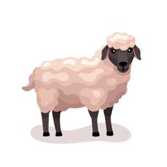 Cute Sheep vector flat illustration isolated on white background. Farm animal happy sheep cartoon character. Colorful farm animal Sheep character