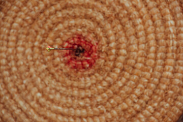 Arrow in the center of the target. The concept of success and achievement of the goal