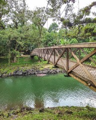 bridge in the park