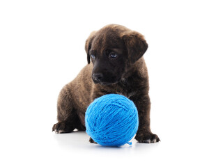 One little dog with balls.