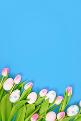 White tulip spring flowers with pink tips and easter eggs on side of blue background with copy space