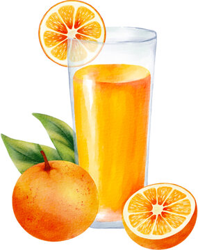 orange juice watercolor hand-drawing