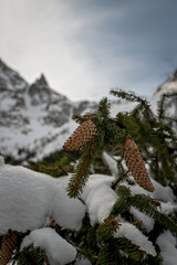 MORSKIE OKO,TATRY WYSOKIE POLSKIE © Mariusz Szymanek