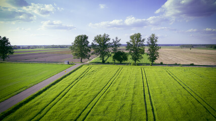 Wiosenne pola na wsi 