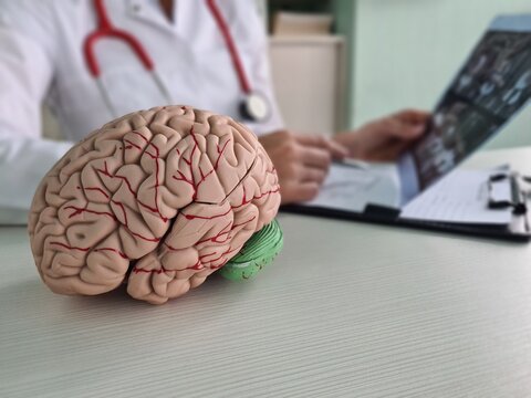 Doctor neurosurgeon examines x-ray of the brain in clinic