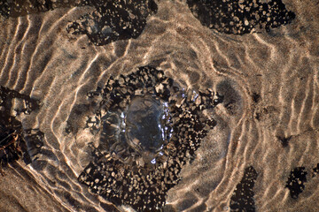 Small Natural Spring In a Desert River