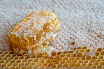 side view honeycomb with honey
