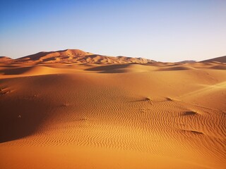 Fototapeta na wymiar Sahara desert horizon 