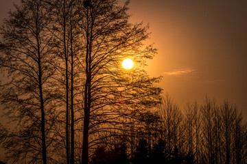 Wiosenne złote słońce i budząca się do życia natura 