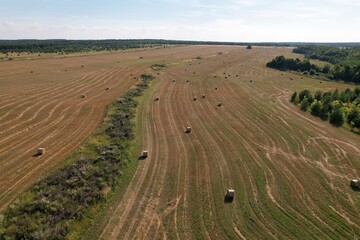 Fototapeta na wymiar Fields of harvested hay in a Russian village from a drone