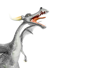 dragon cartoon with a copy space