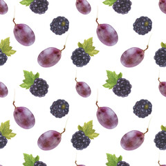 Modern watercolor botanical illustration. Blackberry and grape