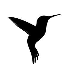 Hummingbird silhouette black on white background