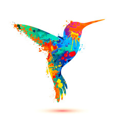 Hummingbird silhouette of splash paint © Crazy nook