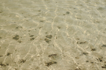 Mesmerizing blend of ocean waves and soft sandy beaches, creating a stunning textured backdrop for your creative needs