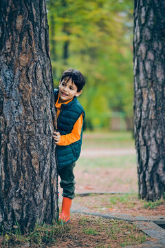 A little boy looks out from behind a tree in the park
