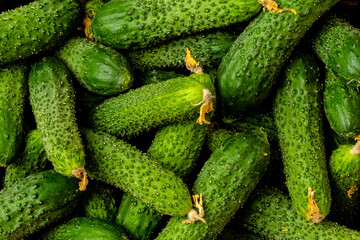 Overhead shot of cucumbers in wooden box