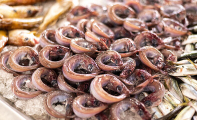 Fresh Fish and Crustaceans at the Local Market: A Sustainable Choice, close-up of whiting (fish), selective focus