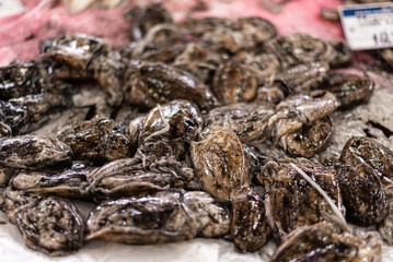 Fresh Seafood Display at the Market: A Sustainable Local Economy,close-up of small cuttlefish (fish), selective focus