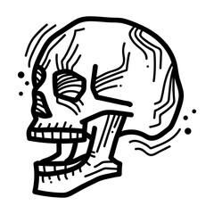 skeleton head skull drawing doodle line art