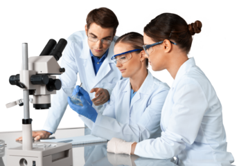 Group of the scientists working