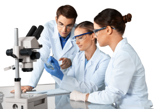 Group of the scientists working