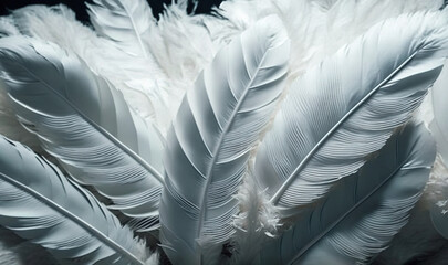  a close up of a white feather on a black background with the words, white feathers on a black background with the words, white feathers on a black background.  generative ai