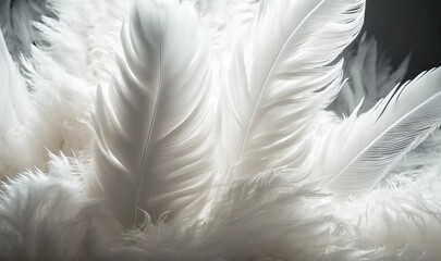  a close up of a white feather on a black and white background with a blurry effect to the feather and the background is black and white.  generative ai