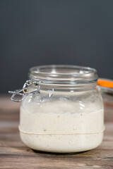 Sourdough starter