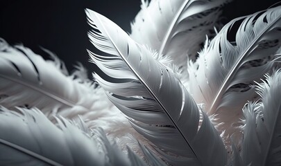  a close up of a white feather on a black background with a blurry effect to the center of the feather and the back of the feathers.  generative ai