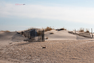 Long Island beach sand dune with fencing and a kite overhead