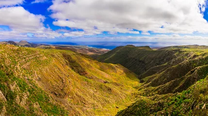 Poster Lanzarote - impressive beauty of volcanic island. beautiful panorama near Haria village. Canary islands of Spain © Freesurf