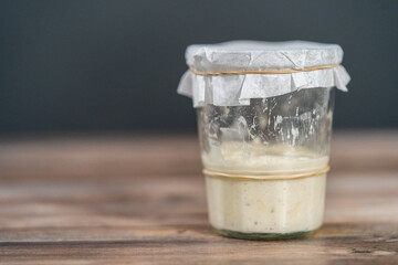 Sourdough starter