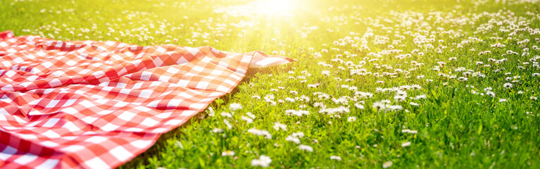 Picnic duvet on the meadow with green grass and spring flowers