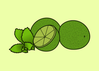 Simple Green Orange Fruit Illustration