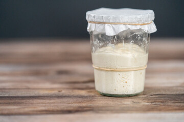 Sourdough starter